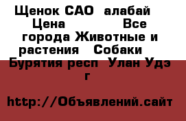 Щенок САО (алабай) › Цена ­ 10 000 - Все города Животные и растения » Собаки   . Бурятия респ.,Улан-Удэ г.